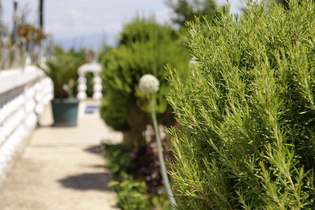 Apartments Solta Nečujam Екстериор снимка